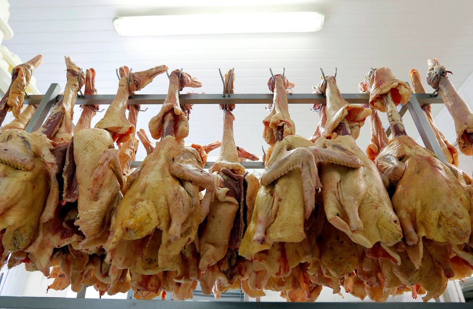 Fotografija: Ptičja gripa je udarila po perjadi na Kitajskem. FOTO: Reuters