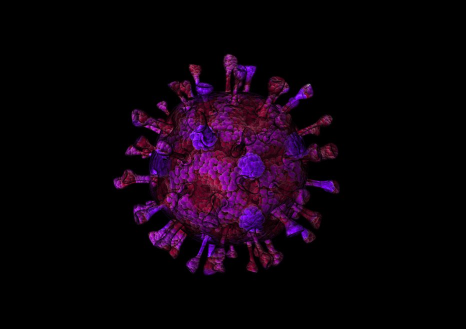 Fotografija: Večina naj bi se okužila z agresivnejšim sevom virusa, a se je njegovo širjenje od januarja upočasnilo. FOTO: Getty Images/istockphoto
