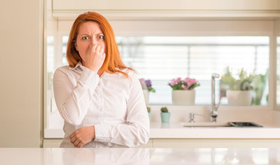 Fotografija: Kateri so vzroki, da doma neprestano vonjate nekaj neprijetnega. FOTO: Shutterstock
