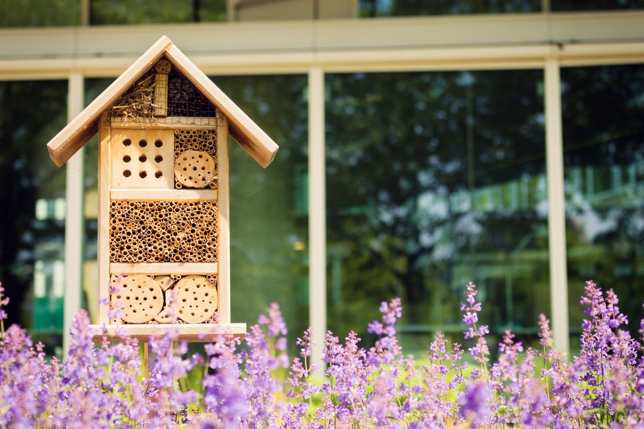 Fotografija: S čebelnjakom na svojem vrtu, balkonu ali terasi boste čebelam ponudili dom in jim pomagali povečati populacijo. FOTO: Shutterstock