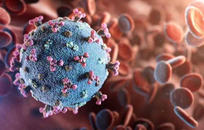 Novi koronavirus je po svetu okužil že skoraj 16 milijonov ljudi, skoraj 650 tisoč jih je umrlo. FOTO: Shuterstock