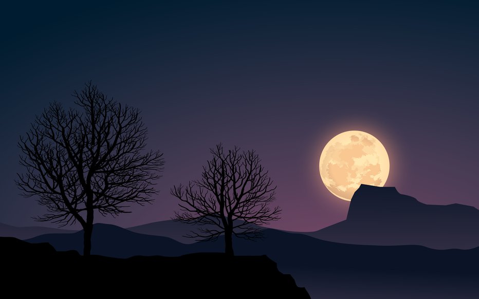 Fotografija: Položaj Lune v posameznih znamenjih naše življenje barva z drugačno energijo. FOTO: John Alberton/Getty Images