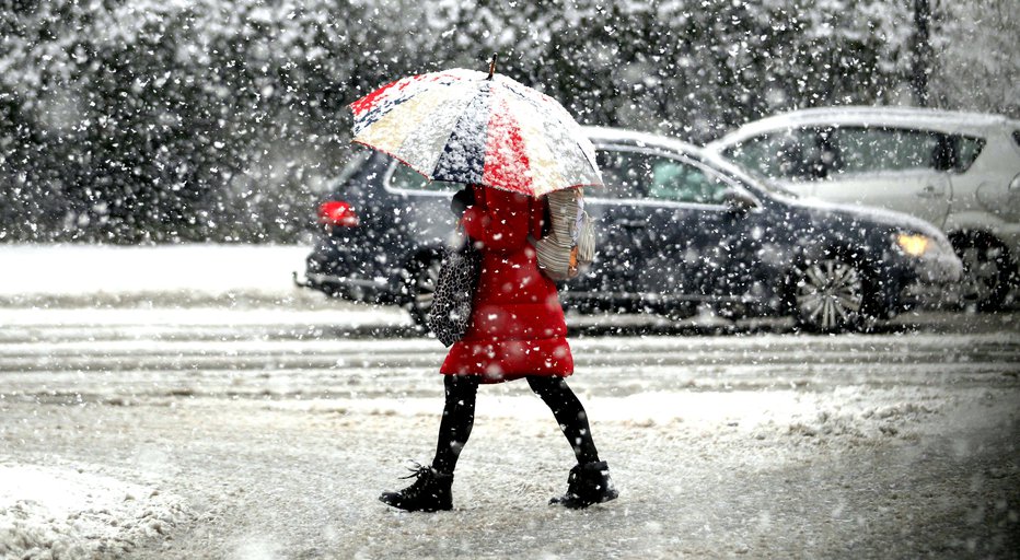 Fotografija: Sneg bo pobelil Slovenijo, čeprav se temperature ne bodo spustile prav globoko pod ničlo. FOTO: Roman Šipić, Delo