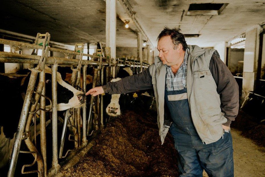 Fotografija: Slovenski kmetje, ki se ukvarjajo s pridelavo mesa FOTO: Ministrstvo Za Kmetijstvo, Gozdarstvo In Prehrano