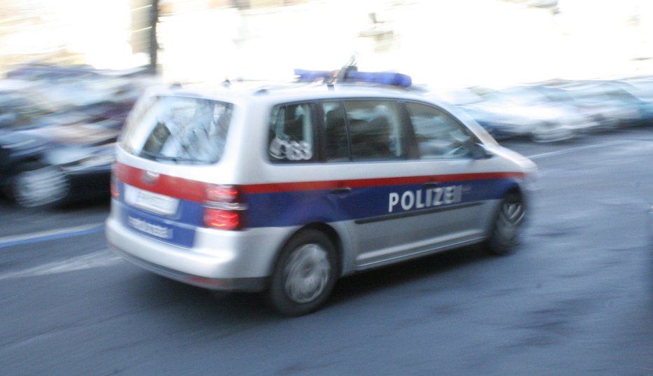 Fotografija: Niti avstrijski policisti divjaku niso mogli slediti. FOTO: Boštjan Fon