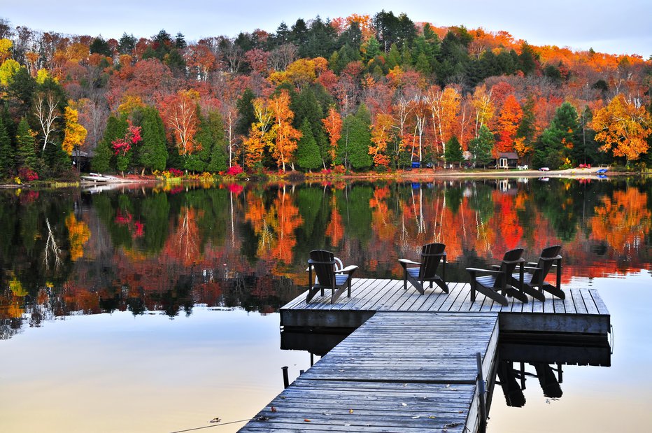 Fotografija: Obdobje obarvanja listja se jeseni začne, ko se začne krajšati dan in podaljševati noč. FOTO: Guliver/Getty Images