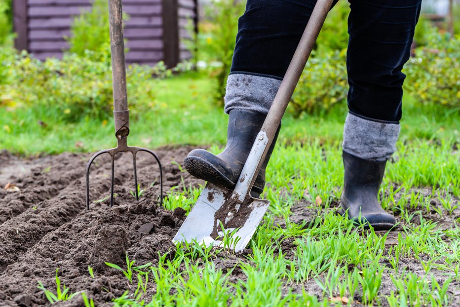 Fotografija: Vrt lopatamo in tako podkopljemo vse rastline, listje in ostale organske ostaline FOTO: Guliver/thinkstock Getty Images/istockphoto