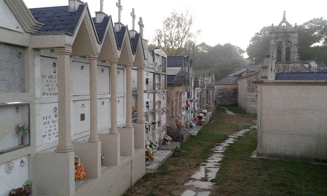 Camino čez vaško pokopališče FOTO: VLADIMIR JERMAN