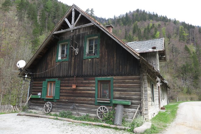 Domačija Dušana Nučiča je nekoliko odmaknjena od preostanka vasi Jelendol. FOTO: Špela Ankele