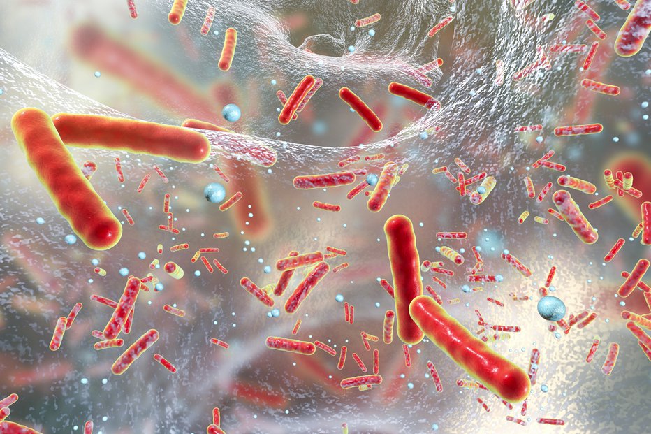 Fotografija: Odpornost določene bakterije se razvija precej hitreje, kot odkrivajo nova zdravila.