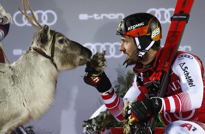 Marcel Hirscher je nahranil že četrtega jelena po toliko zmagah v Leviju. Foto: AP