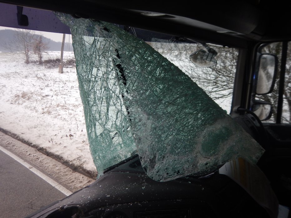 Fotografija: Poškodovano vetrobransko steklo. FOTO: PU Novo mesto
