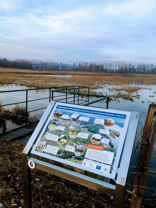 Rezervat Ormoške lagune je opremljen z informacijskimi tablami. FOTO: Jaroslav Jankovič