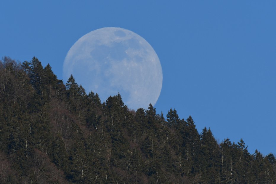 Fotografija: Februarska polna luna. FOTO: Bralec Egon, bralec poročevalec