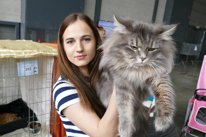 Taja Moro in njena sibirska mačka Foto: Primož Hieng