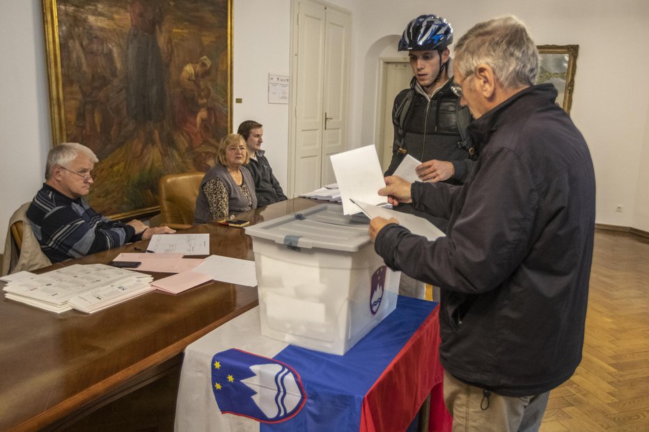 Fotografija: Predčasne volitve v Evropski parlament. FOTO: Voranc Vogel