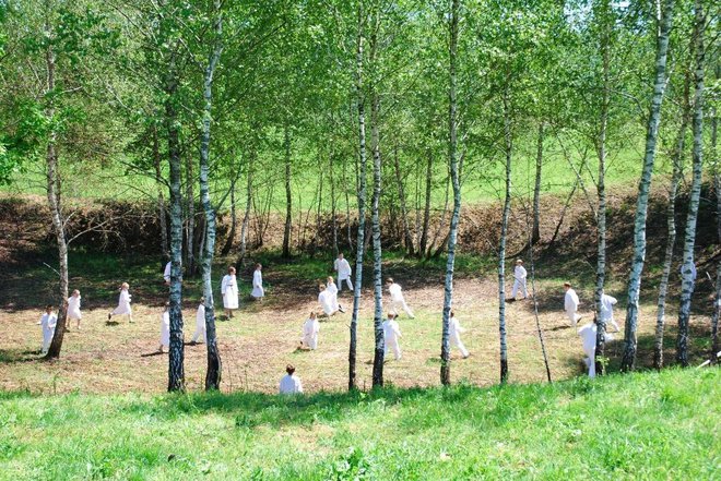 V steljniku med brezami FOTO: Krajinski Park Kolpa