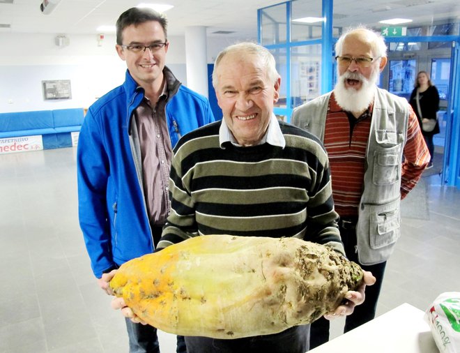 Najtežjo krmilno peso je pridelal Franc Slemc, na sliki s članoma komisije Robertom Golcem (levo) in Ivanom Kropivnikom.
