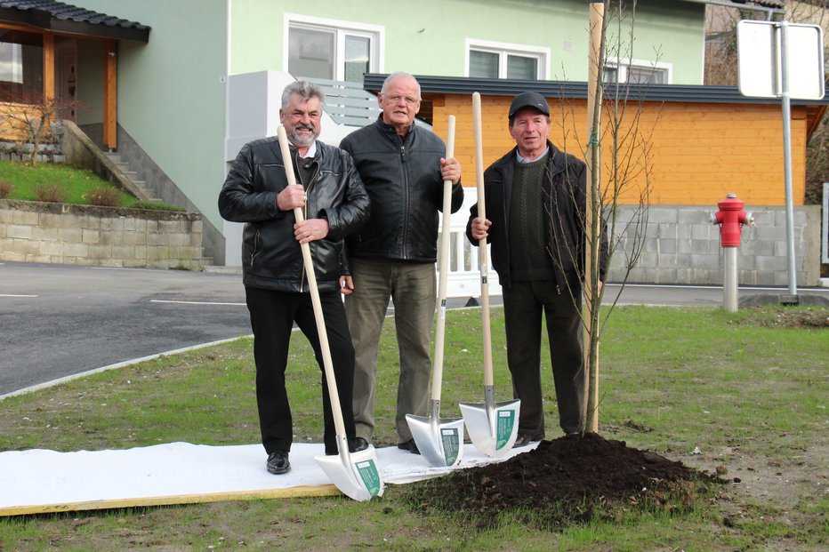Fotografija: En gaber so zasadili nekdanji predsedniki krajevne skupnosti Gabrje Slavko Matko, Vinko Rukše in Martin Gazvoda.