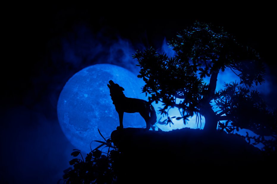 Fotografija: Nekatera leta imajo 13 polnih lun, zaradi česar je ena izmed njih modra luna, saj se ne ujema povsem s tradicionalnim sistemom poimenovanja polne lune. FOTO: Zeferli/Getty images