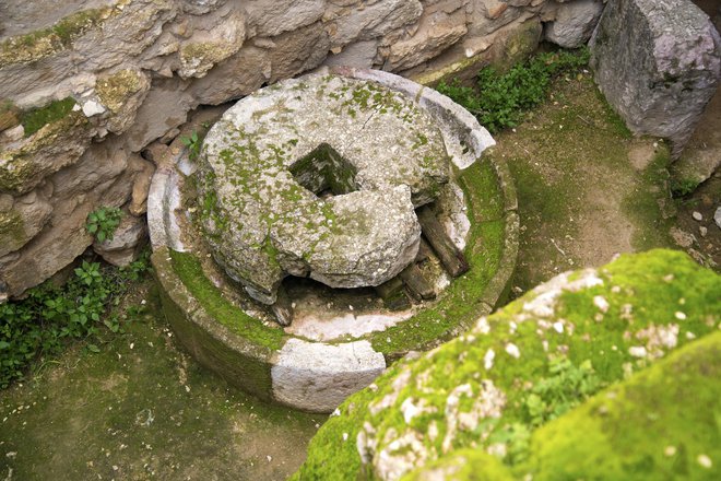 Na Otoku so odkrili že številne mlinske kamne, a običajno brez upodobitve moškega spolnega uda. FOTO: Donclix/Getty Images