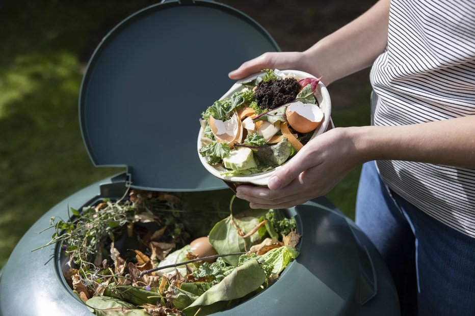 Fotografija: Najbolje se obnese kot dodatek kompostu. FOTO: Daisy-daisy/Getty Images