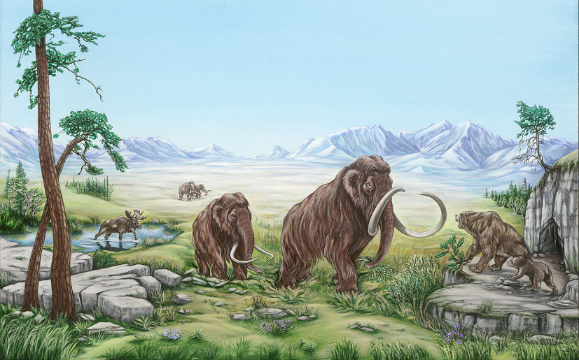 Fotografija: Mamut, jamski medved in los so bili značilni prebivalci na ozemlju današnje Slovenije pred 20.000 leti. ILUSTRACIJA: Barbara Jurkovšek
