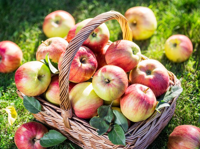 Uporabimo neškropljena jabolka, če nismo prepričani, jih raje olupimo. FOTO: Valentynvolkov/Getty Images
