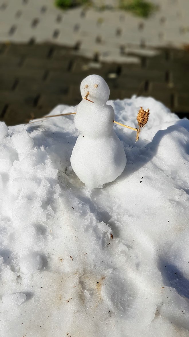 Spomin na poletnega snežaka FOTO: M. Ž.
