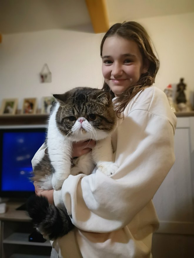 
Katarina Polanc s prvakom – perzijskim mačkonom Danyjem

 
