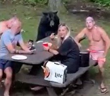 Fotografija: Takole je bilo na pikniku v nekem trenutku, ko je iz gozda prihlačal medved. FOTO: zaslonski posnetek
