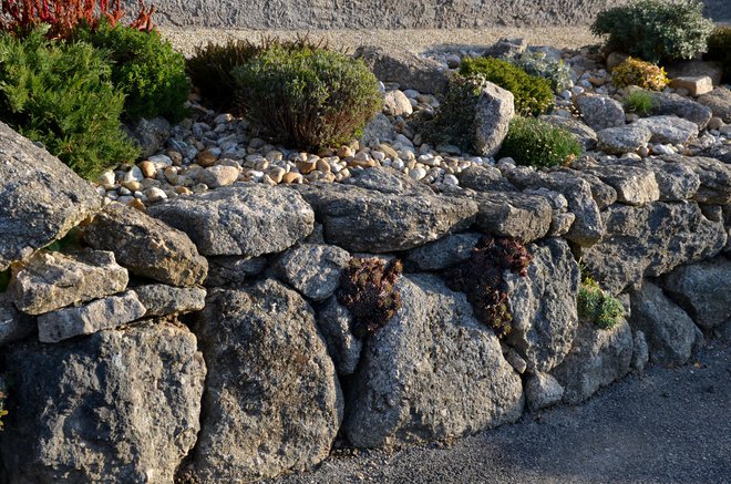 Prostor med rastlinami zapolnimo s kamni in kamenčki.

