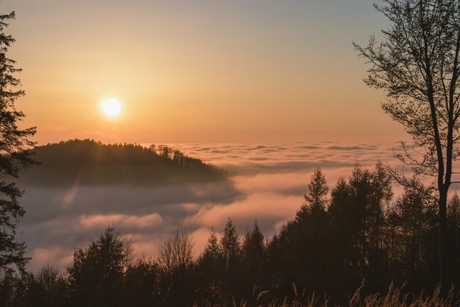 Doline je zakrivala jutranja megla, v visokogorju pa je vladala jasnina in bilo je poletno toplo. FOTO: Vsfp/Getty Images
