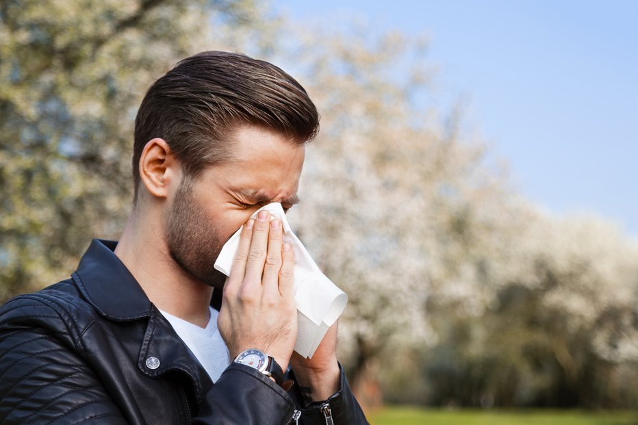 Fotografija: Alergija na cvetni prah je zelo pogosta in predvsem spomladi povzroča največ težav. FOTO: Arhiv Polet/Shutterstock