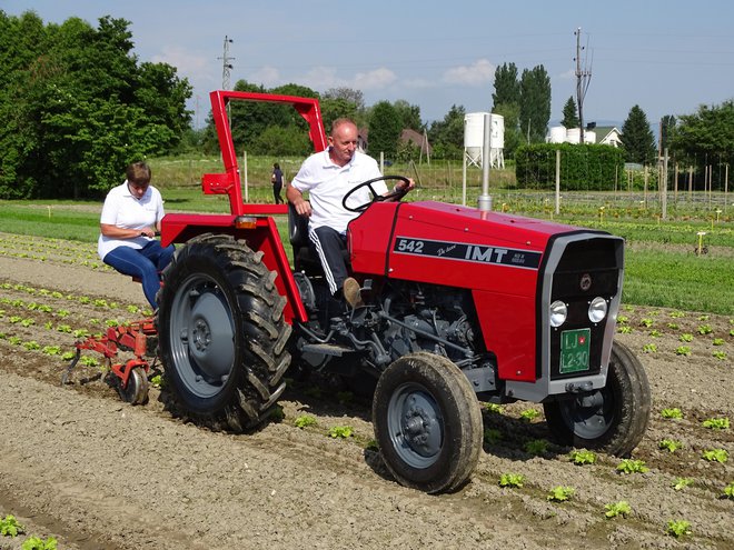 Standardni in še vedno najbolj razširjeni postopek okopavanja brez elektronike. Starodobni, a obnovljeni traktor IMT 542 iz leta 1983 in okopalnik Tehnos iz leta 1985. Delata dva človeka.