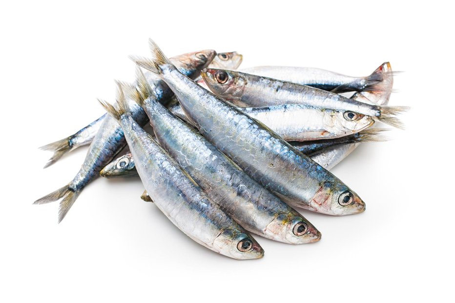 Fotografija: Za žensko je bila usodna jed s sardinami. FOTO: Alexraths Getty Images/istockphoto