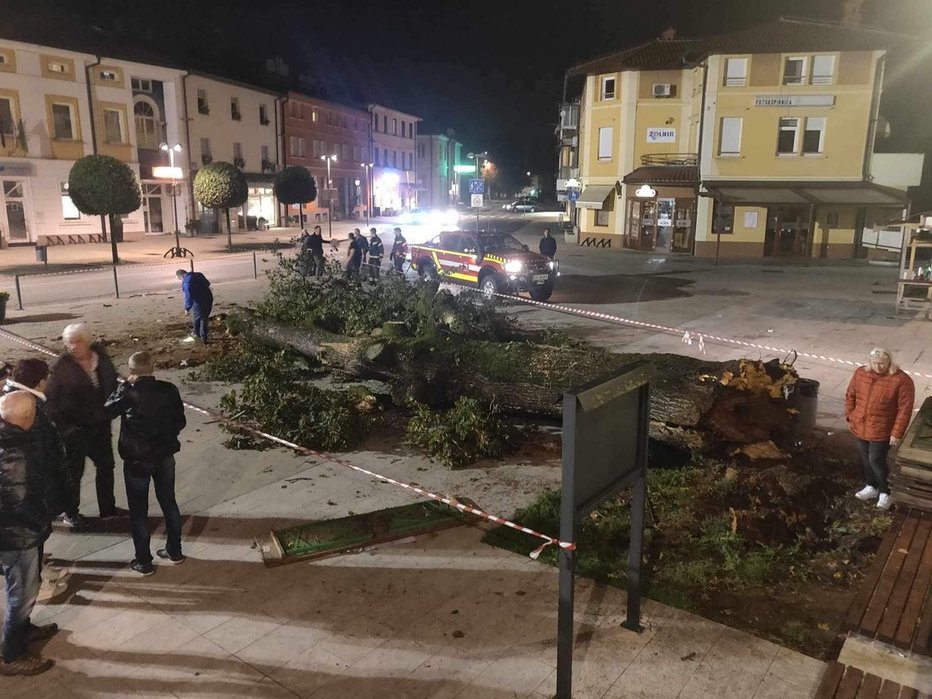 Fotografija: Približno deset metrov visoko drevo je bilo pri tleh trhlo in se je prelomilo ter podrlo, so bile prve ugotovitve policije. FOTO: Jani Batič/Foto Lado