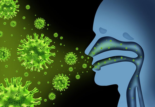 Mehanizem v nosu poskrbi, da se borimo proti virusom, ki jih vdihnemo, a le če ni preveč mrzlo. FOTO: Wildpixel, Getty Images