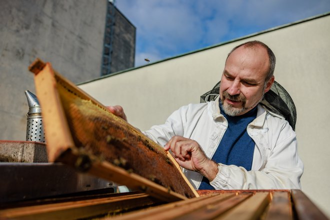Gorazd Trušnovec se že 10 let ukvarja z urbanim čebelarstvom. FOTO: Črt Piksi