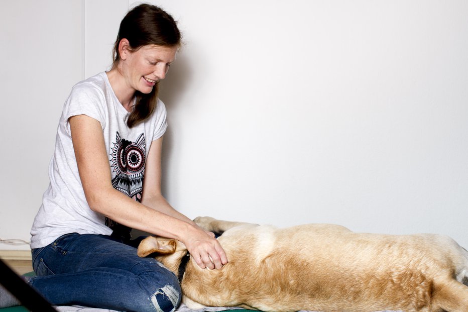 Fotografija: Živali se na terapijo dobro odzivajo. FOTO: ROK CUDER