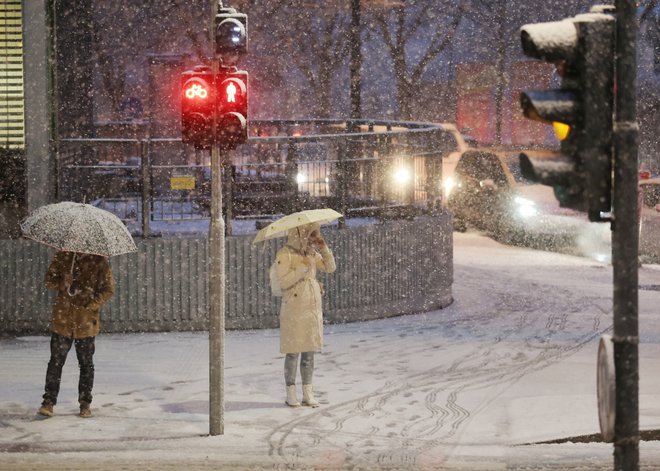Sneženje v Ljubljani FOTO: Jože Suhadolnik, Delo