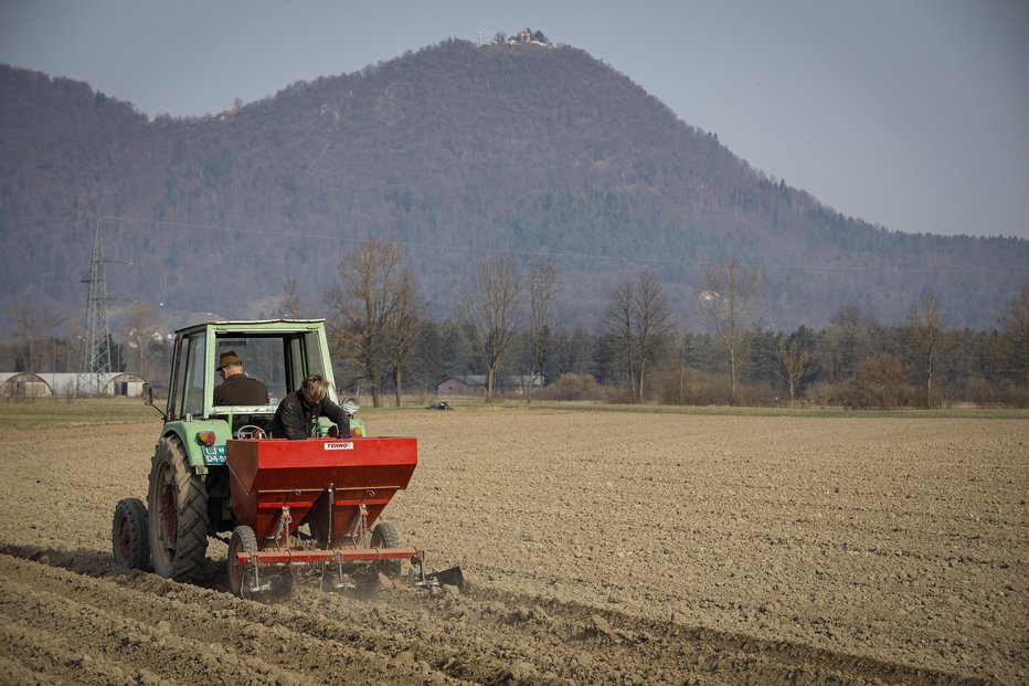 Fotografija: Traktorji danes ne bodo vozili po ljubljanskem asfaltu, ampak bodo ostali na svojih poljih. FOTO: Jože Suhadolnik
