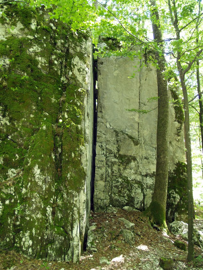 Razpoka Žaganega kamna je lepo vidna. FOTO: Janez Mihovec