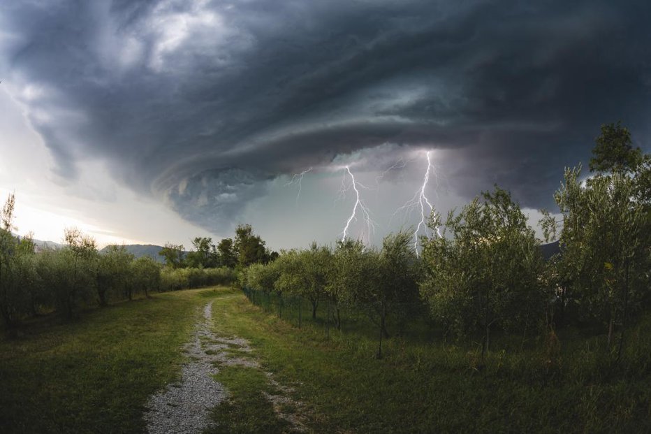 Fotografija: Nastanejo lahko tudi nevihte s krajevno močnejšimi nalivi in sunki vetra.FOTO: Gettyimages