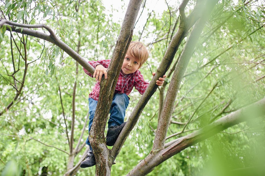 Fotografija: Otroci ne plezajo več po drevesih? FOTO: Sandsun Getty Images
