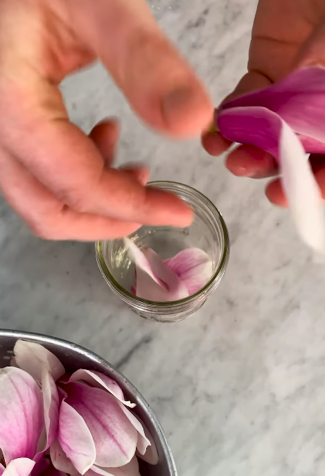 Jamie Oliver je v kis vložil cvetove magnolije. FOTO: Zajem Zaslona Instagram
