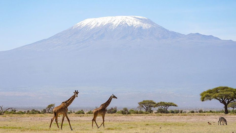 Fotografija: Medtem ko je Brad splezal na Kilimandžaro, Joy gore še videla ni. FOTO: Xie Han/Getty Images