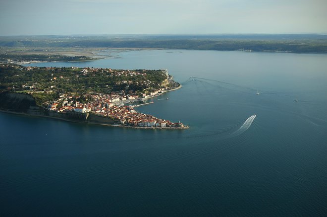Piran in Piranski zaliv iz zraka. FOTO: Jure Eržen, Delo