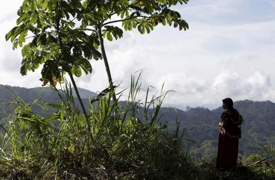 Fotografija: Grozljivo grobišče so odkrili v panamski džungli. FOTO: Reuters