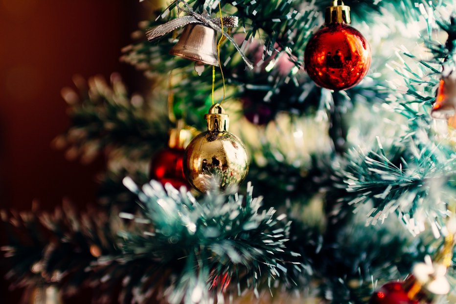 Fotografija: Cenite svojo družino, božično drevo in dobrote. FOTO: Pixabay